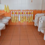phoca_thumb_m_umvrny a wc motlci a veverky 3 Fotogalerie